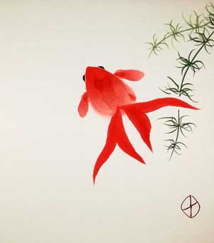Poisson rouge
