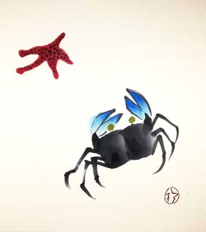 Crabe et etoile de mer