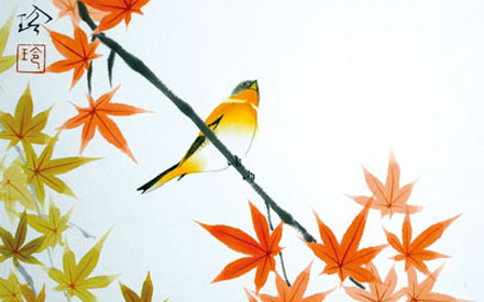 Feuilles d'érable japonaises et Pinson du Nord