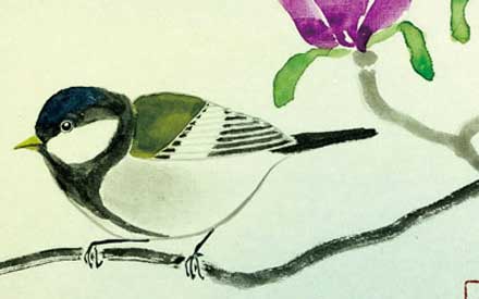 Mésange et Magnolias