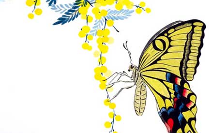 Mimosas et Papillon
