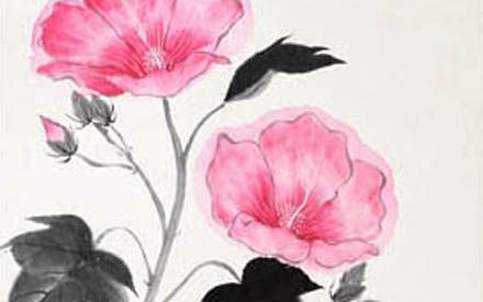Fuyo (Hibiscus japonais)
